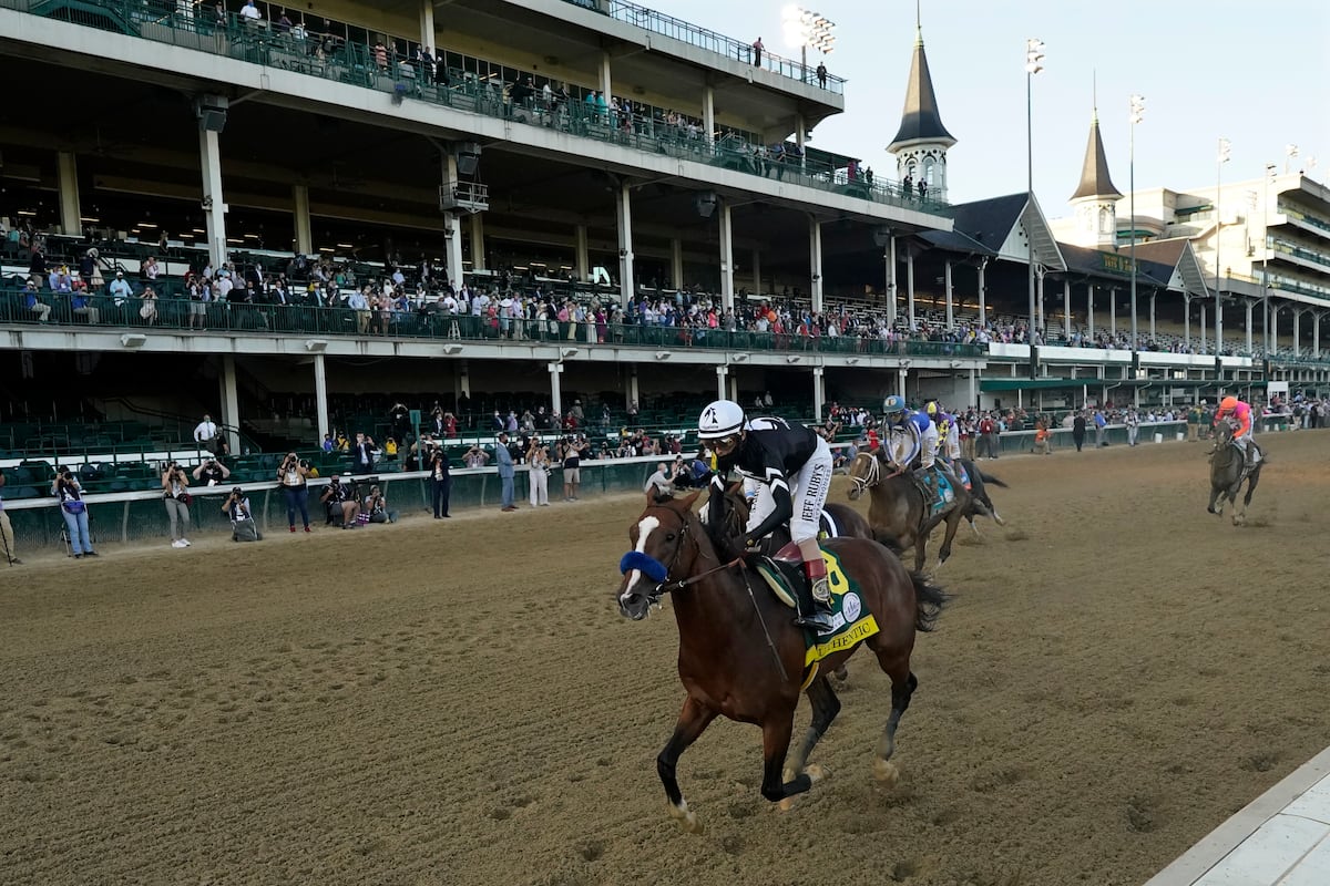 Preakness 2025 Predictions Magda Roselle Preakness 2025 Predictions Magda Roselle