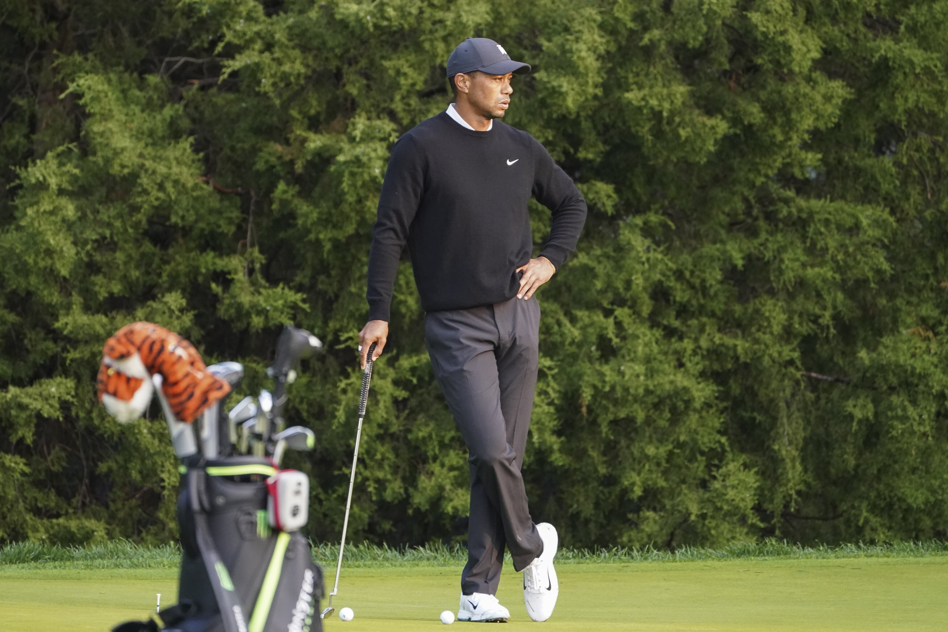 Odds To Win The Open Golf Odds To Win The Open Golf
