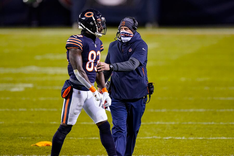 Bears