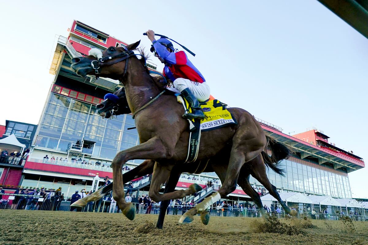 Breeders Cup Classic Picks 2022