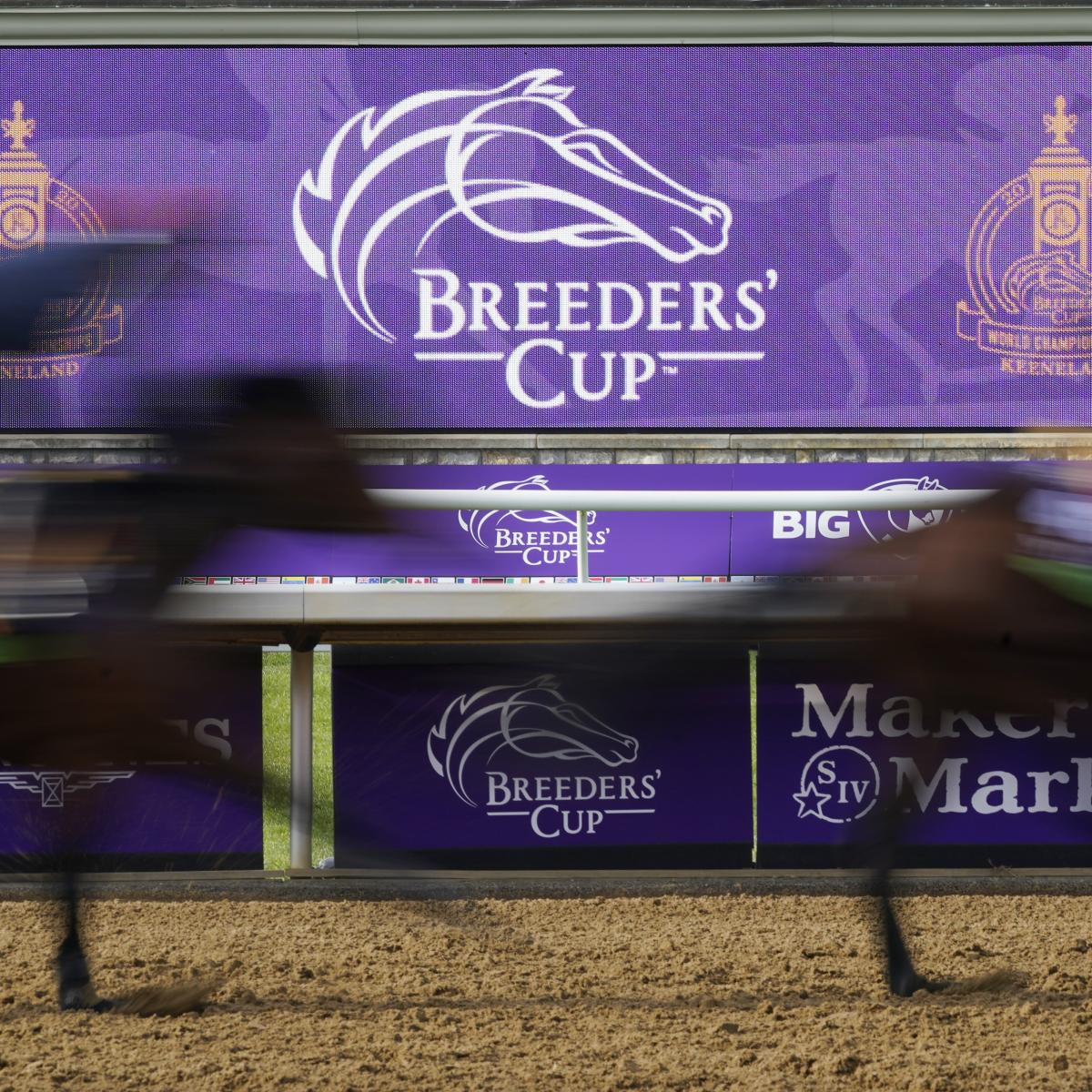 Breeders' Cup 2020 Post Time, Post Positions and Friday TV Coverage