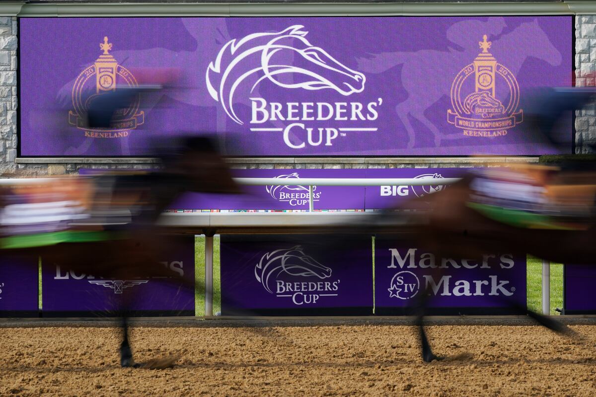 Breeders' Cup 2020 Post Time, Post Positions and Friday TV Coverage