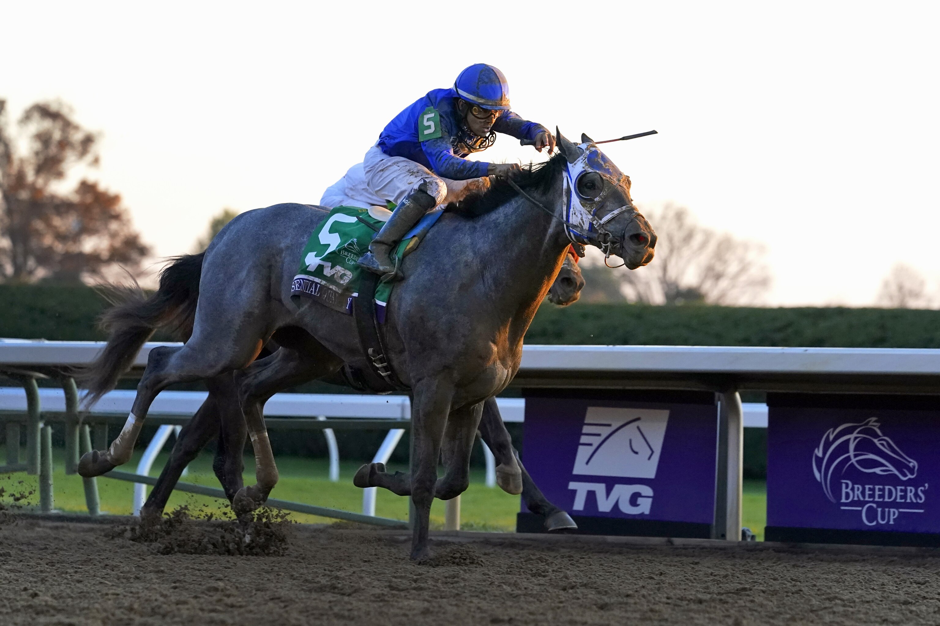 Breeders Cup 2020 Results Final Race Times Payouts And Friday Reaction Bleacher Report Latest News Videos And Highlights