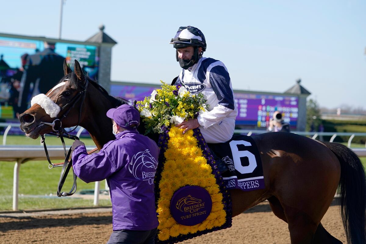 Breeders' Cup 2020 Results Tracking Winners and Prize Money Payouts on