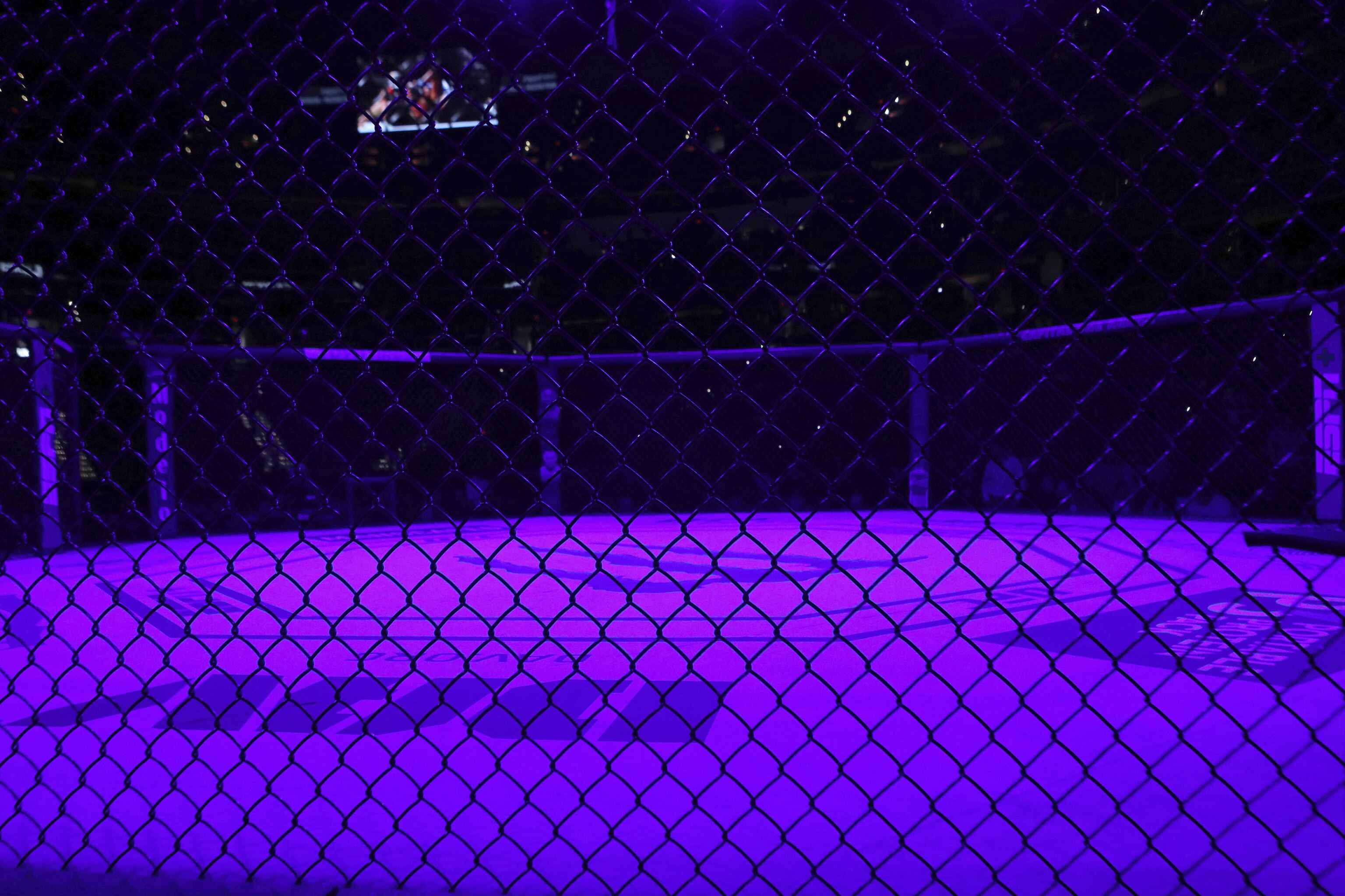 Jake Paul Impersonates Mcgregor Khabib Askren White Nate Diaz In Nsfw Video Bleacher Report Latest News Videos And Highlights