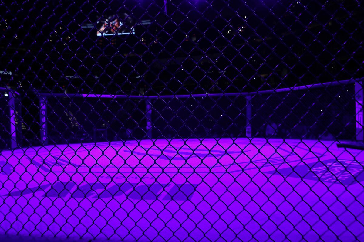 UFC's Julija Stoliarenko Stretchered Away from Weigh-in ...