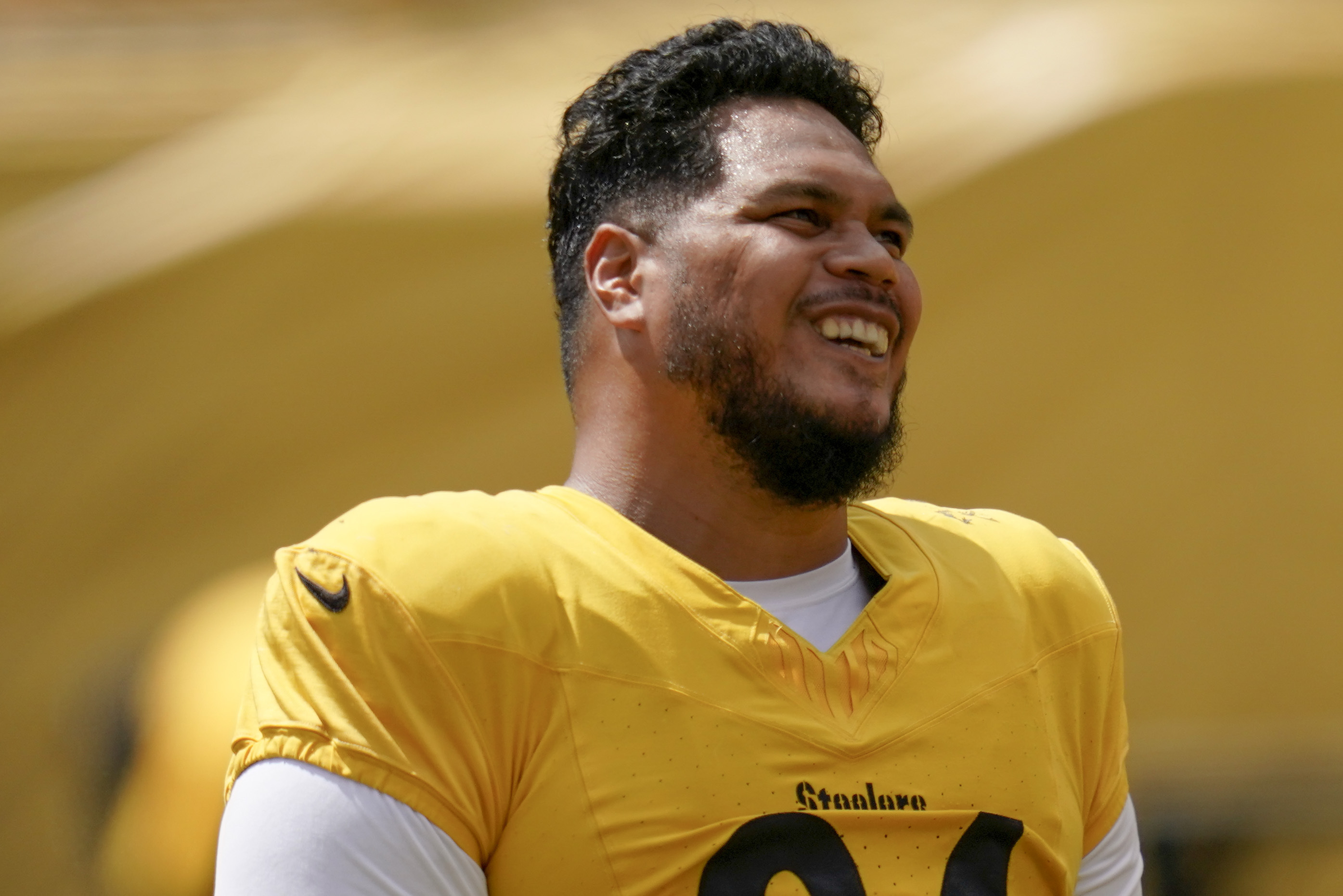 Steelers' Tyson Alualu becoming a breakout star at age 33