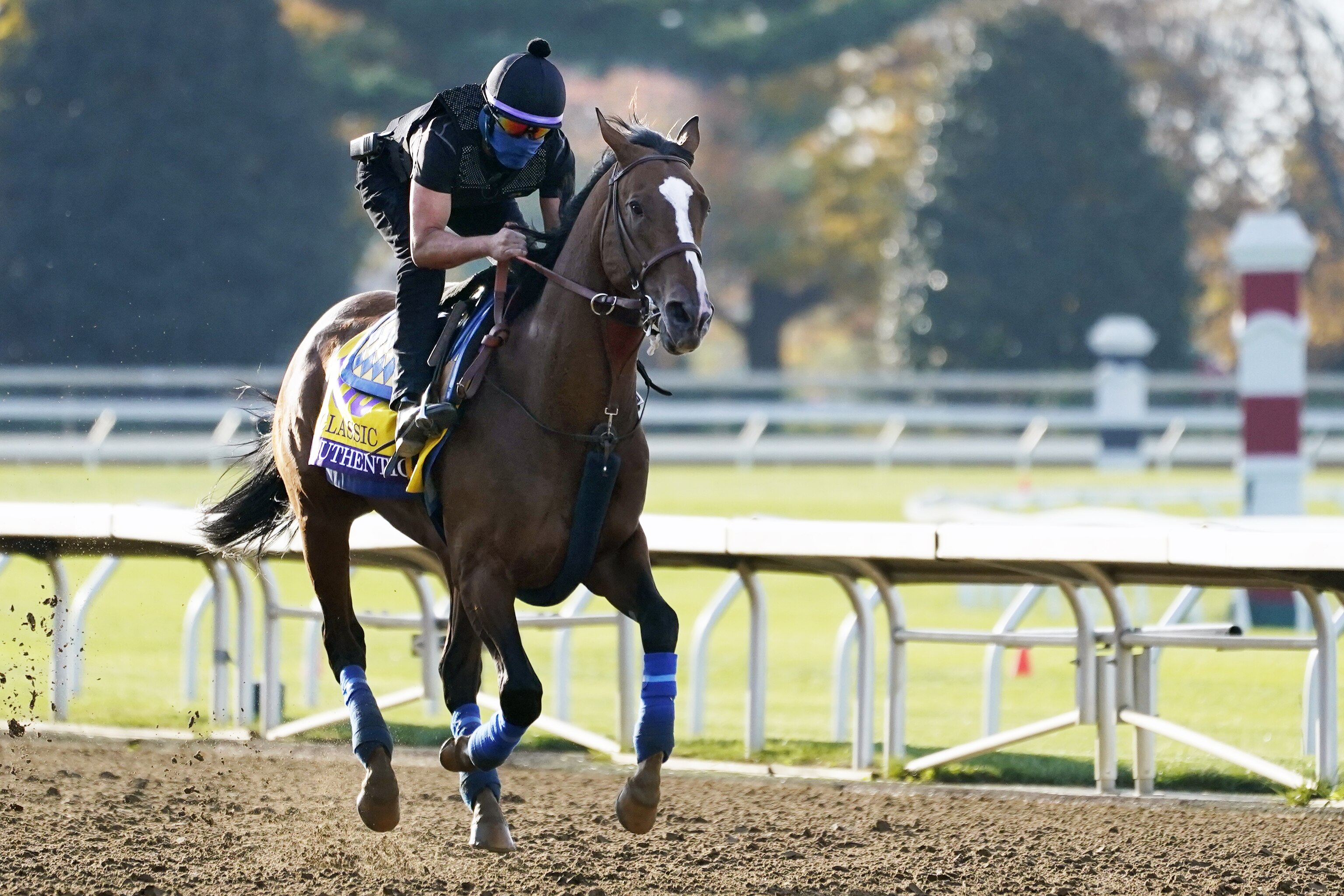 Are mares allowed in the kentucky derby