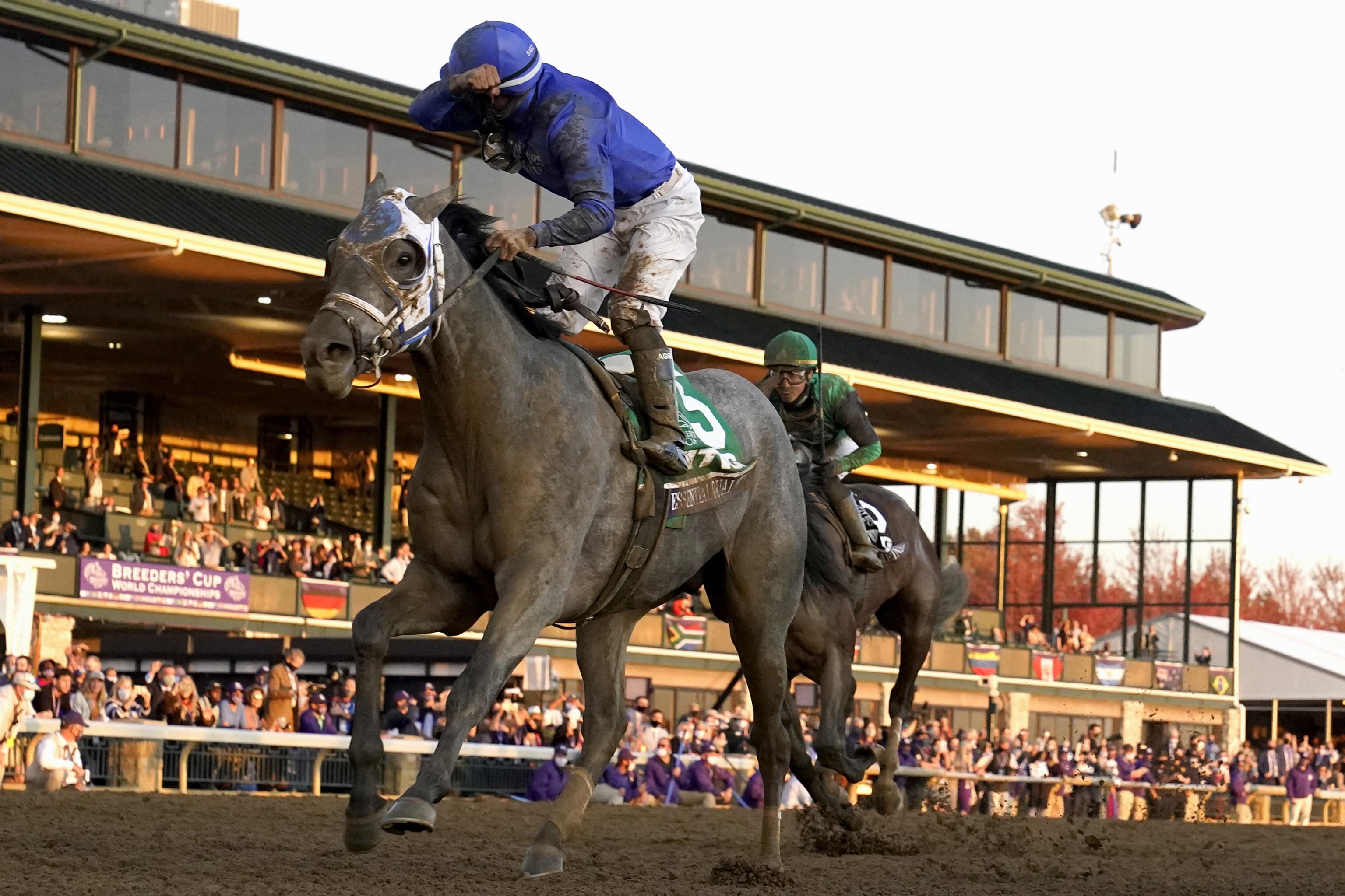 ky derby winner barbaro sketch