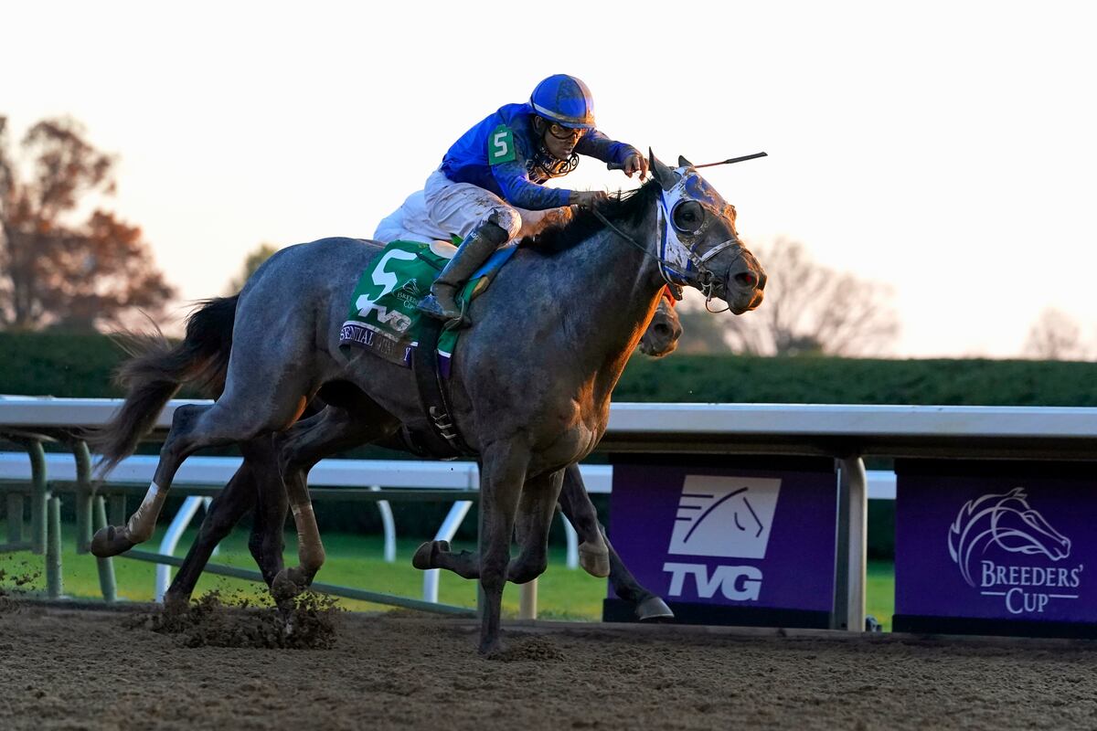 Kentucky Derby 2021: Odds, Pedigree, Jockey Info for Favorites and More Horses - Vimarsana News
