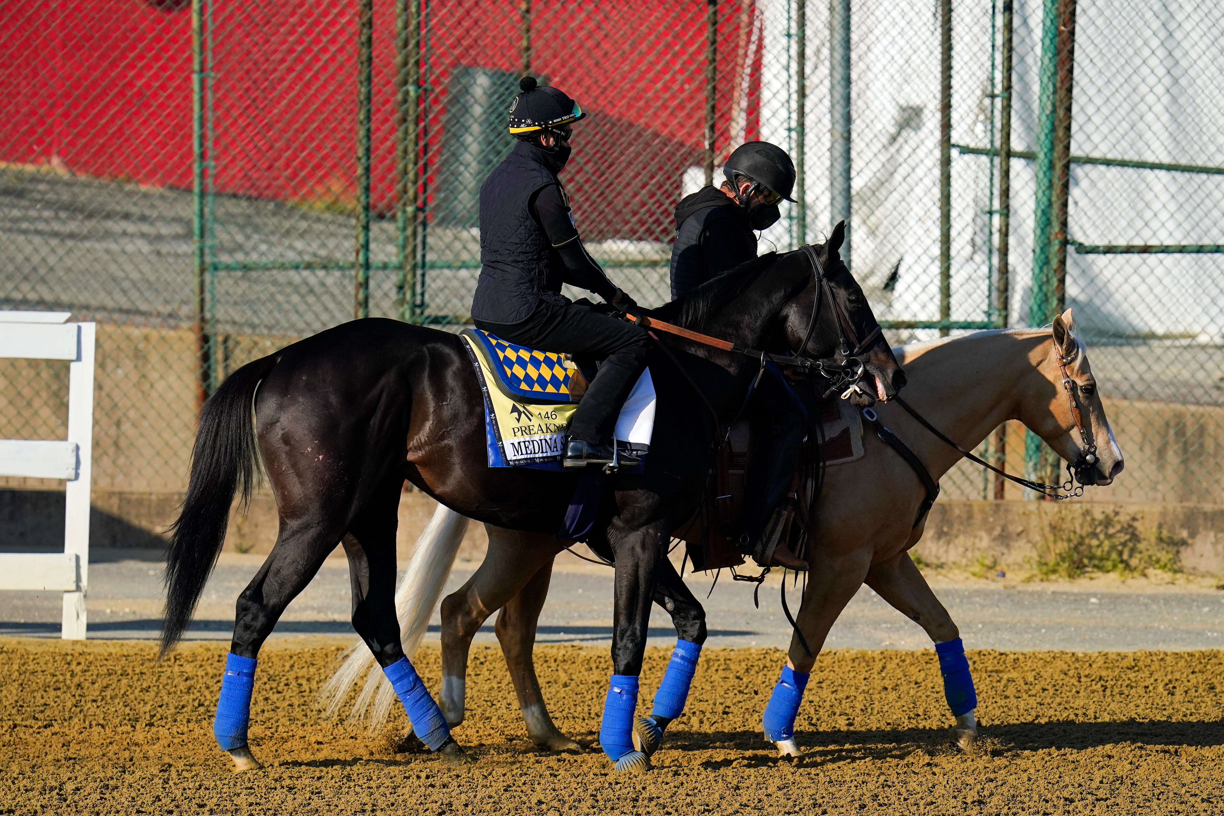 Preakness 2021: Horses, Favorites and Contenders for This Year's Field - Vimarsana News