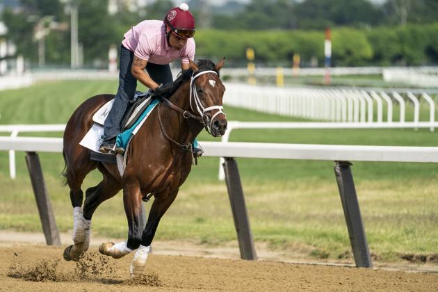 Belmont Stakes entrant Rombauer takes a training run on the main track ahead of the 153rd running of the Belmont Stakes horse race, Wednesday, June 2, 2021, at Belmont Park in Elmont, N.Y. (AP Photo/John Minchillo)