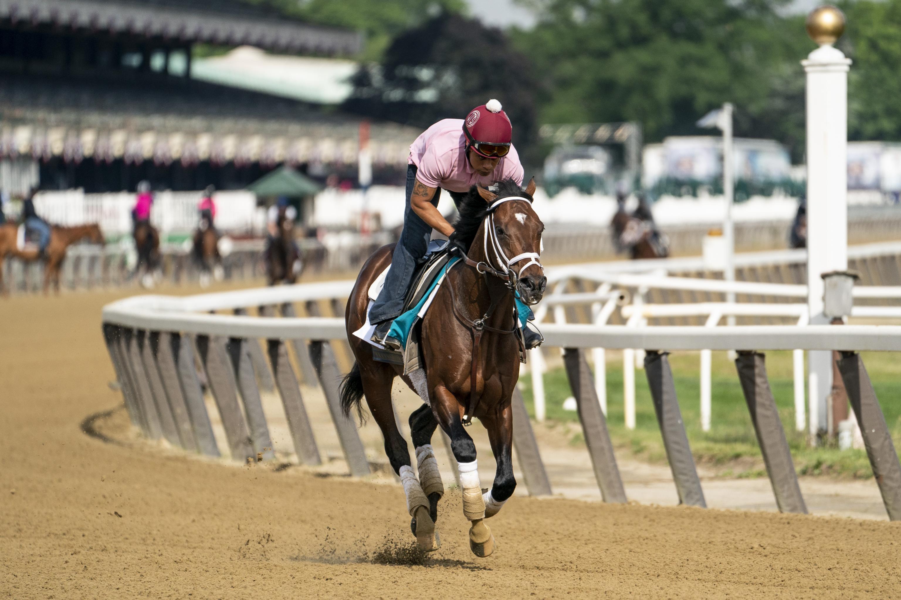 30 Minute Belmont stakes contenders workouts for Workout at Gym