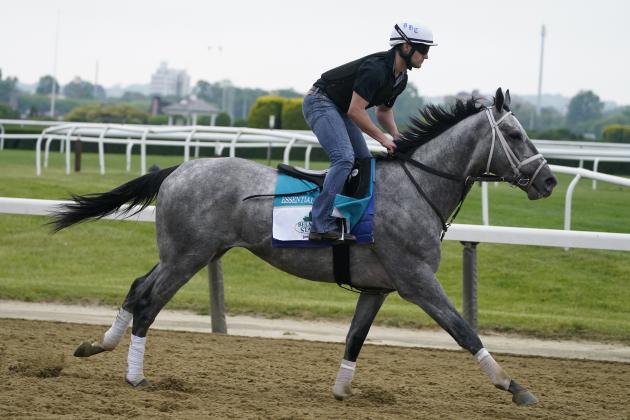 Essential Quality trains ahead of the 153rd running of the Belmont Stakes horse race in Elmont, N.Y., Thursday, June 3, 2021. (AP Photo/Seth Wenig)