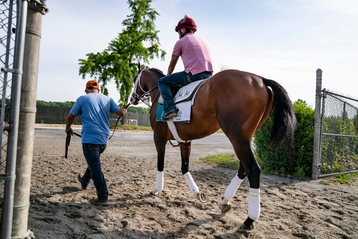 Belmont Stakes 2021 Post Time: NBC TV Start Time, Final Predictions and Odds - Vimarsana News