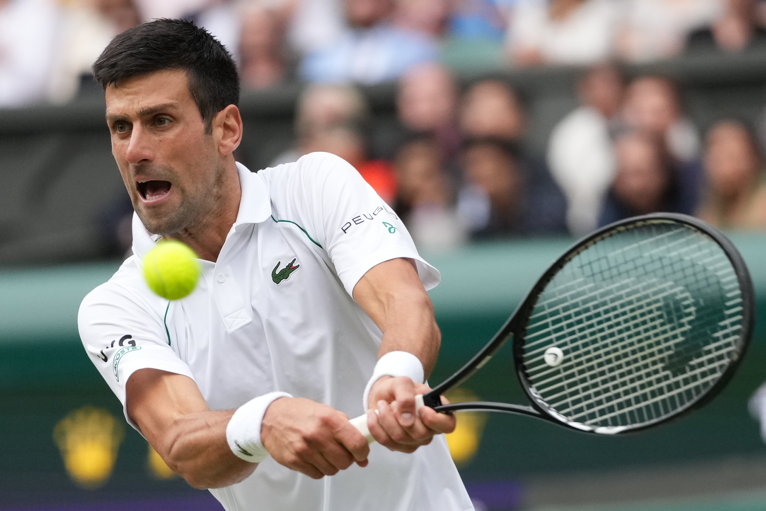 Wimbledon 2021 men's final: Novak Djokovic outlasts Matteo Berrettini to  win record-tying 20th Grand Slam 