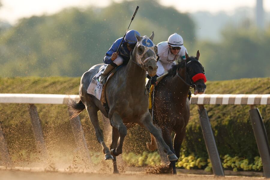 haskell stakes 2021 odds post positions prize money and picks bleacher report latest news videos and highlights