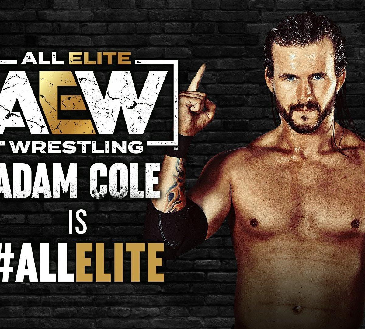 AEW Signing Adam Cole Might Be More Important Than CM Punk and Bryan