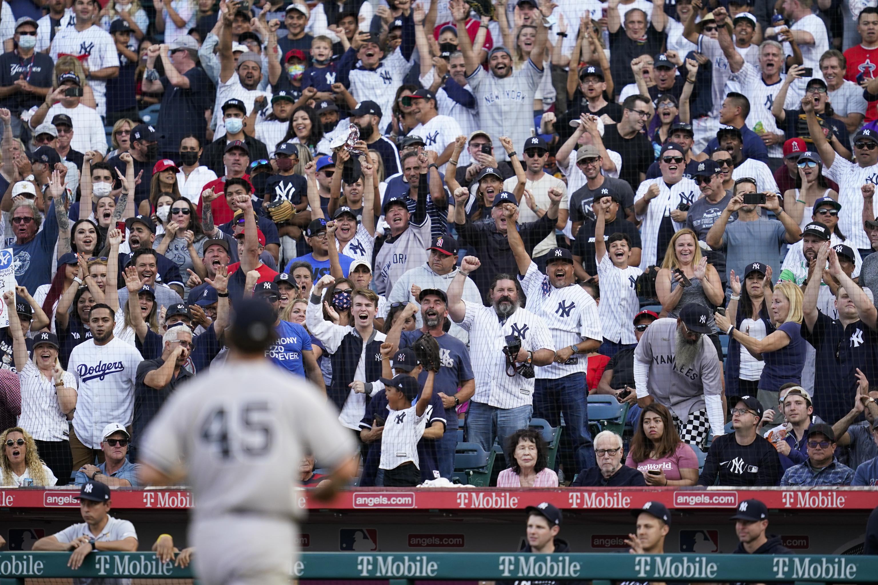 Yankees fans yankees gear near me shouldn't worry about rookie