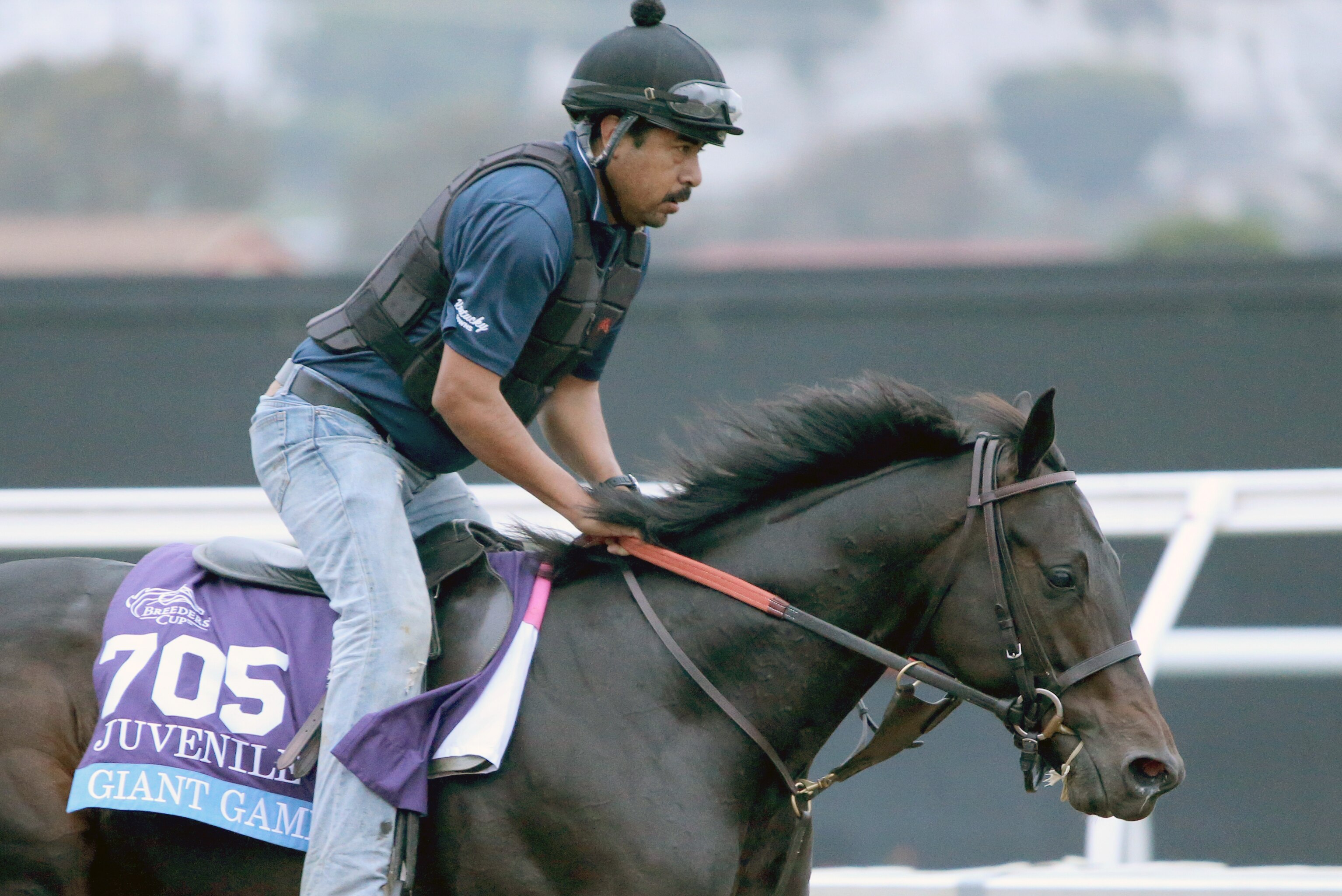 breeders cup 2021 entries lineup odds and predictions for friday races bleacher report latest news videos and highlights
