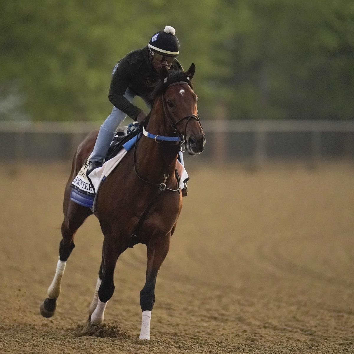 Preakness 2022 Lineup Final Field Odds and Predictions for All Entries