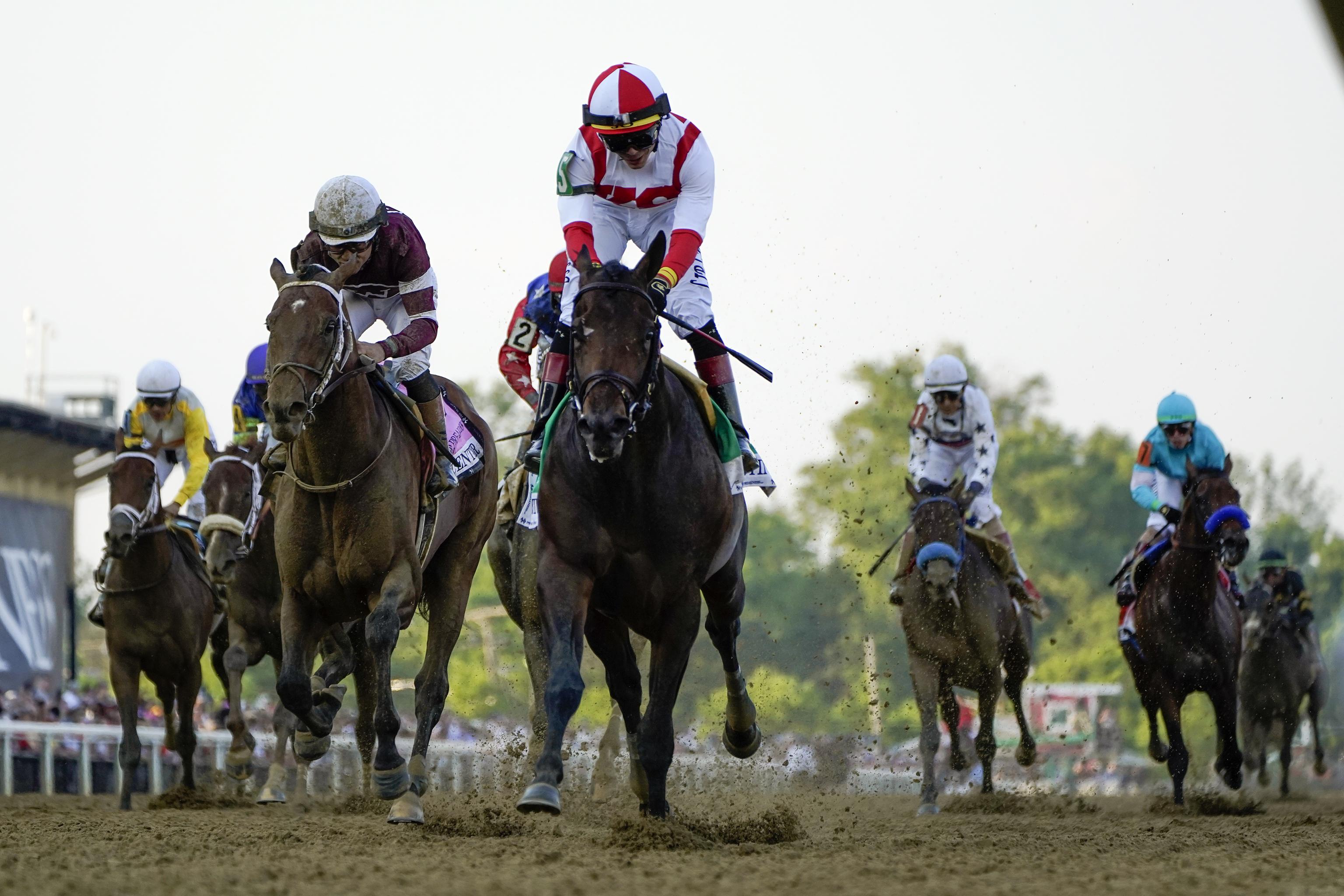 world sports betting results for preakness