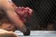 Antonio Silva was able to avoid injury in a brutal loss to Cain Velasquez.