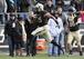 Brandon Cottom, with no rushing attempts this year, has two catches for 19 yards on the season.