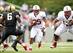 Gaffney (center) can only do so much for the Cardinal.