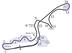 Track map by Will Pittenger