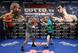 Freddie Roach had a rough 2012, but he's closing out 2013 with a bang.