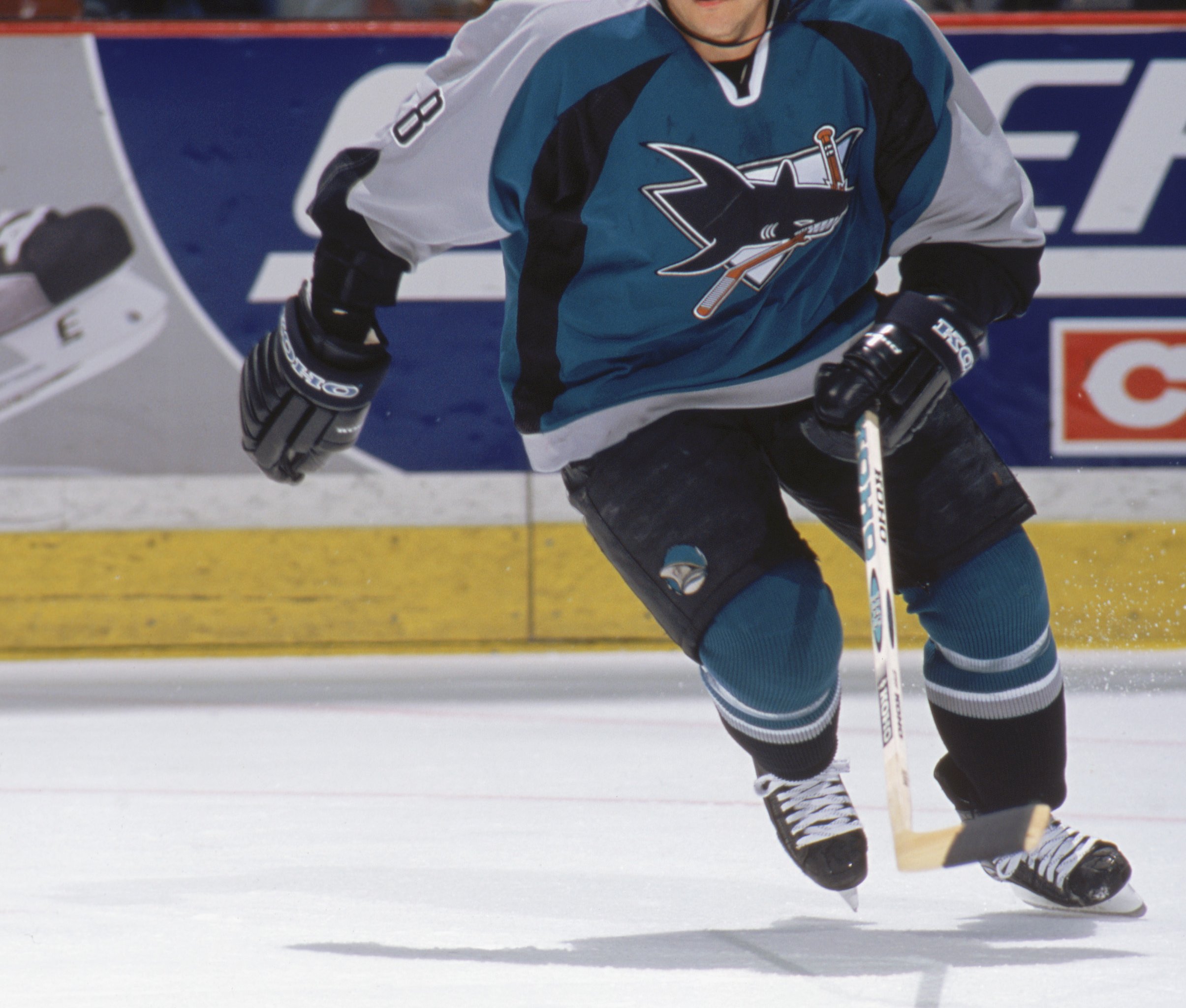 San Jose Sharks History on X: #SJSharks goaltender Arturs Irbe