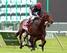 Point of Entry