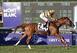 Wise Dan goes for back to back wins in the Mile.