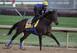 Game on Dude was 2nd in the 2011 Classic and 7th in 2012