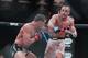 Is Eddie Alvarez free of Bellator? If he is, where will he go?
