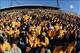 Tigers fans will once again invade Faurot Field this Saturday.