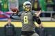 QB Marcus Mariota