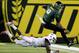 With a bad knee and Oregon's bad luck with injuries to QB's in Tucson, Marcus Mariota might want to stay on his feet.