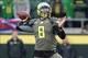 QB Marcus Mariota