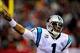 Cam Newton is just one of many Carolina Panthers who made great strides in 2013.
