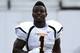 Sony Michel