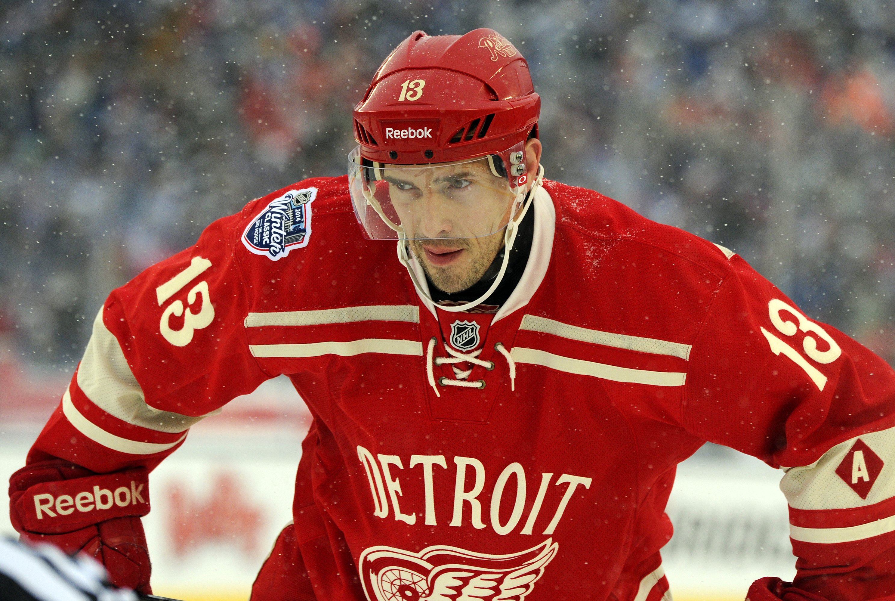 Sergei Fedorov Detroit Red Wings Reebok Authentic 2014 Winter