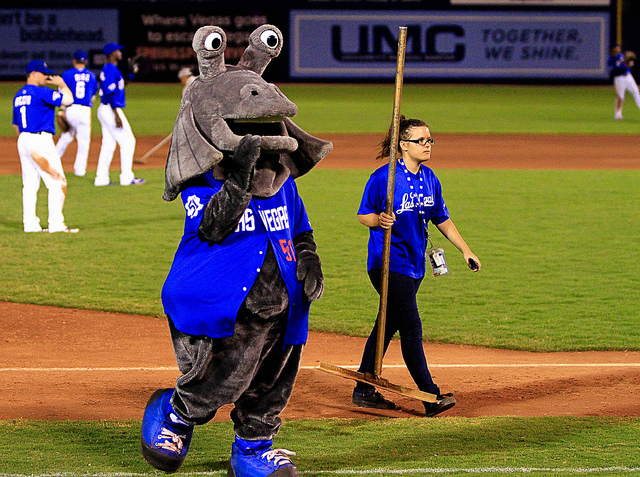 Sports Mascots You Had No Idea Existed, News, Scores, Highlights, Stats,  and Rumors