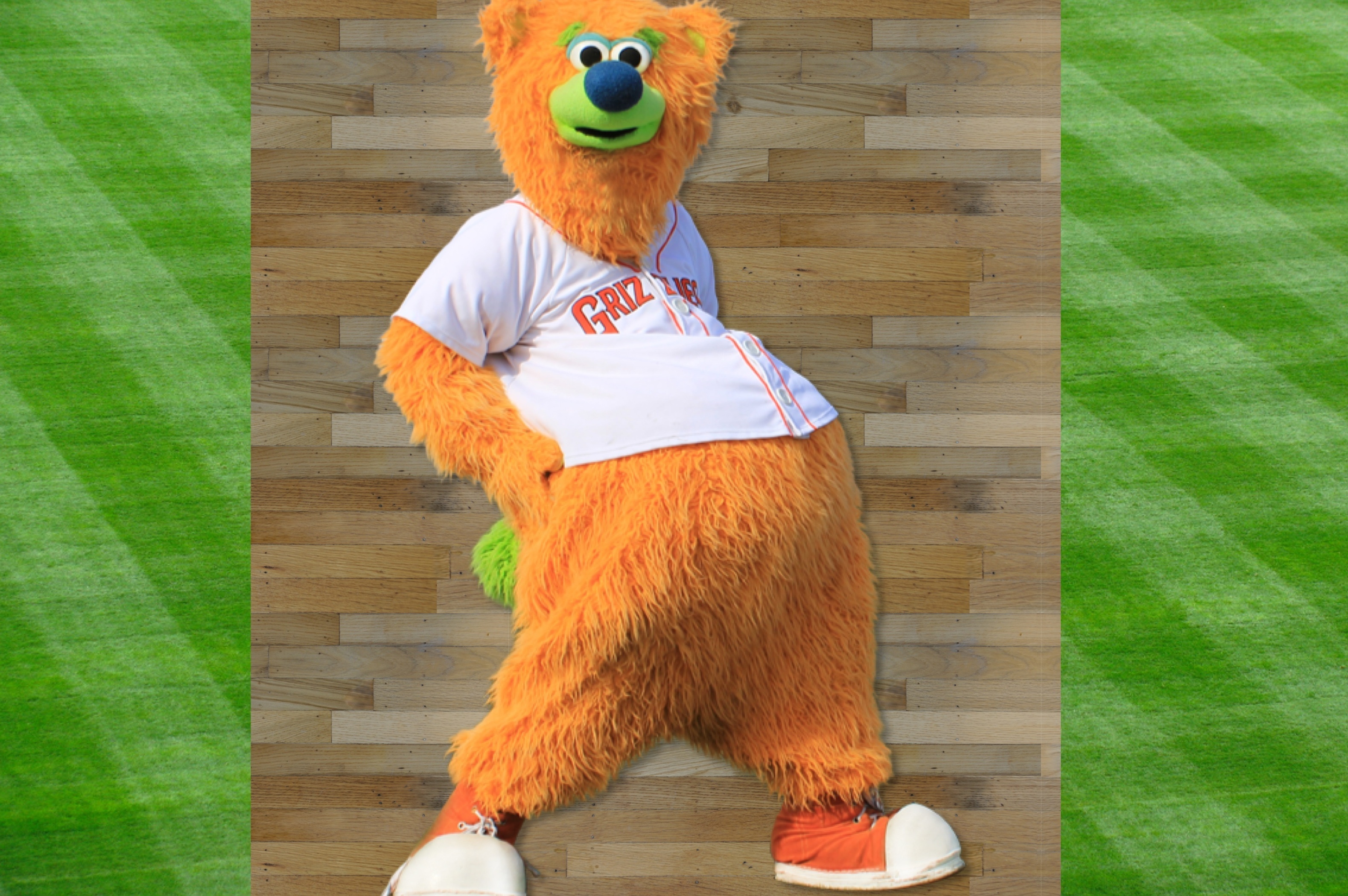 Lou Seal, Mascot Wiki