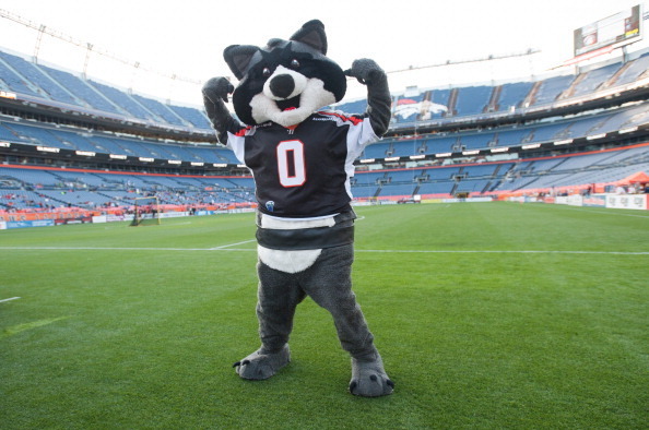 Sports mascots' role not all fun & games – Boston Herald