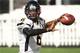 Torrance Gibson