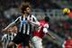 Fabricio Coloccini is expected to start for Newcastle this weekend