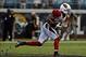 While former Arizona Cardinals safety Yeremiah Bell's phone ring anytime soon?