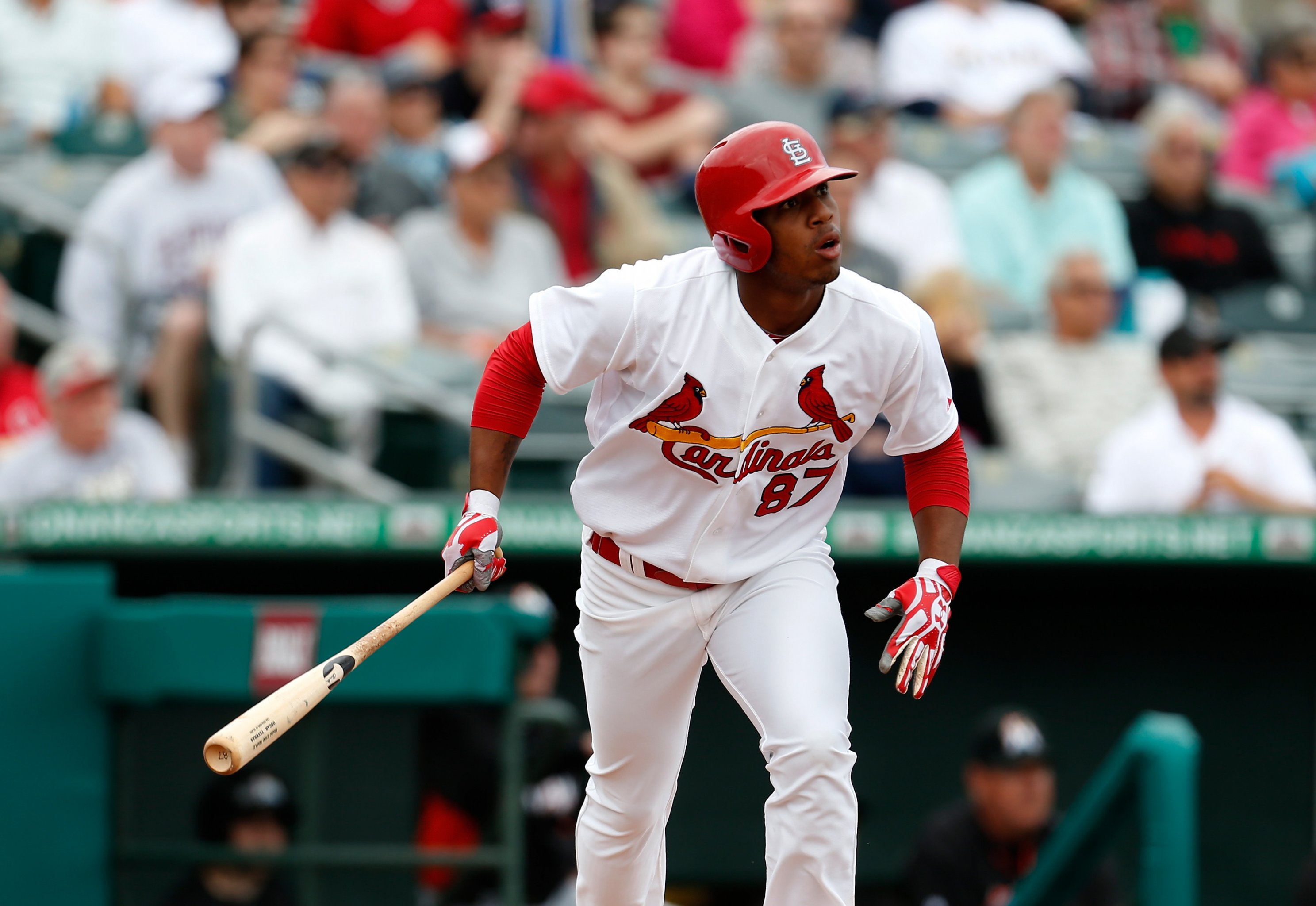 Slideshow: St. Louis Cardinals Spring Training 2013